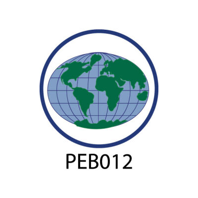 Pebble Patches - PEB012 - World Thumbnail