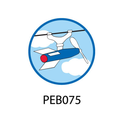 Pebble Patches - PEB075 - Flying Thumbnail